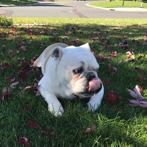 Meet your Posher, Kylie